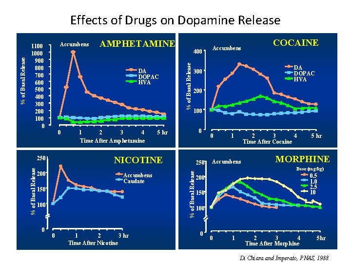 AMPHETAMINE DA DOPAC HVA 0 1 2 3 4 Time After Amphetamine Accumbens Caudate