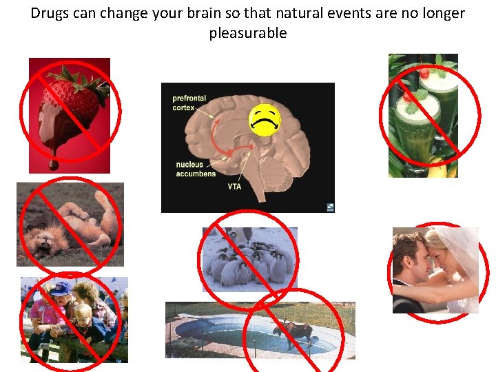 Drugs can change your brain so that natural events are no longer pleasurable 