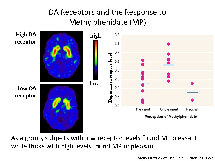 DA Receptors and the Response to Methylphenidate (MP) Low DA receptor high low Dopamine