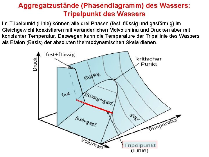 Aggregatzustände (Phasendiagramm) des Wassers: Tripelpunkt des Wassers Im Tripelpunkt (Linie) können alle drei Phasen