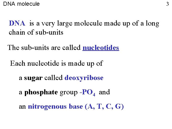 DNA molecule DNA is a very large molecule made up of a long chain