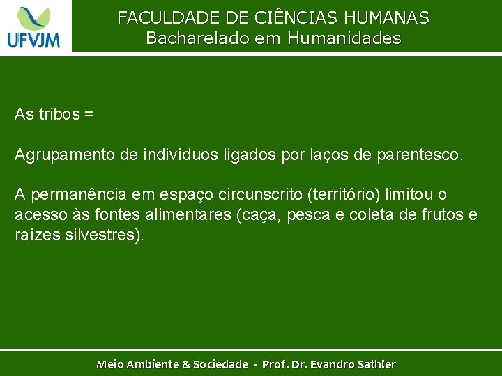 FACULDADE DE CIÊNCIAS HUMANAS Bacharelado em Humanidades As tribos = Agrupamento de indivíduos ligados