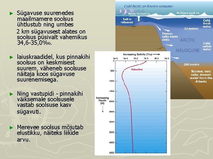 ► Sügavuse suurenedes maailmamere soolsus ühtlustub ning umbes 2 km sügavusest alates on soolsus ► Sügavuse suurenedes maailmamere soolsus ühtlustub ning umbes 2 km sügavusest alates on soolsus
