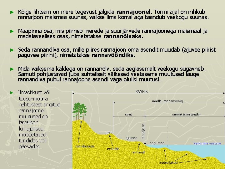► Kõige lihtsam on mere tegevust jälgida rannajoonel. Tormi ajal on nihkub rannajoon maismaa ► Kõige lihtsam on mere tegevust jälgida rannajoonel. Tormi ajal on nihkub rannajoon maismaa