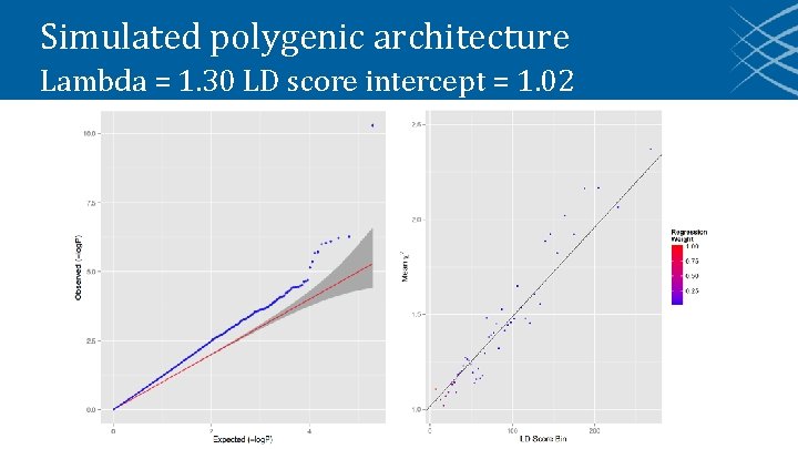 Simulated polygenic architecture Lambda = 1. 30 LD score intercept = 1. 02 