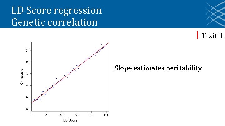 LD Score regression Genetic correlation Trait 1 Slope estimates heritability 