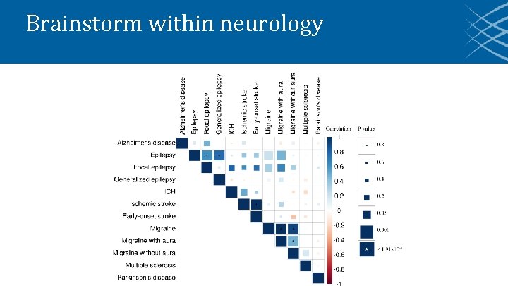 Brainstorm within neurology 