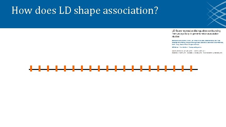 How does LD shape association? 