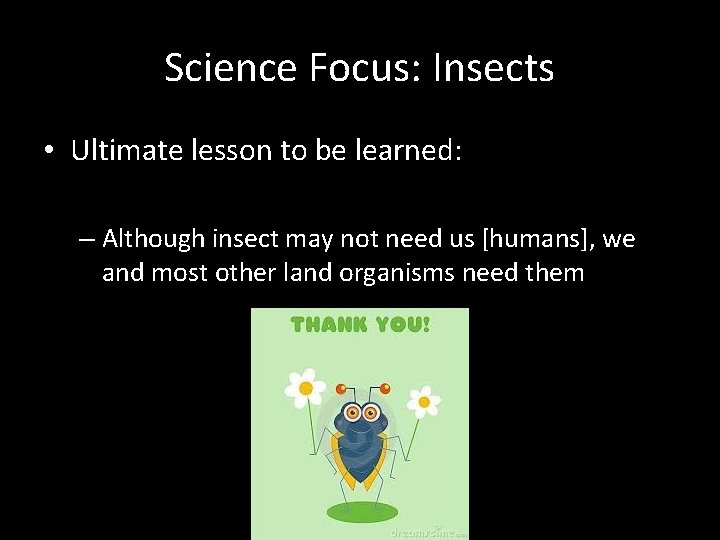 Science Focus: Insects • Ultimate lesson to be learned: – Although insect may not