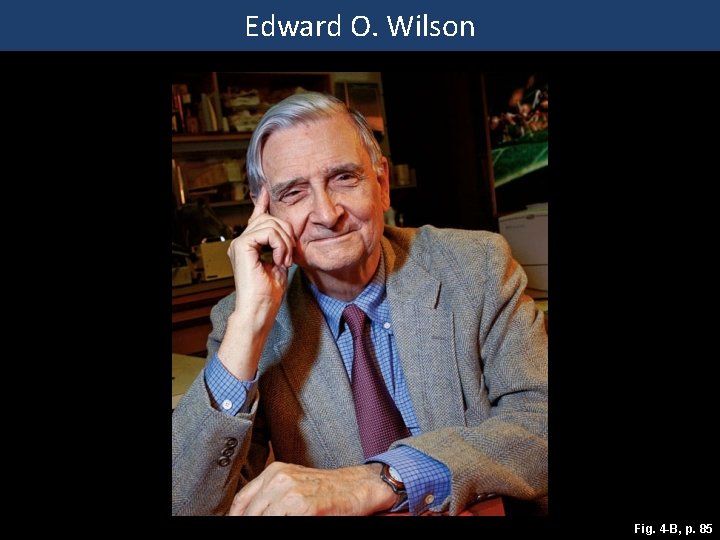 Edward O. Wilson Fig. 4 -B, p. 85 