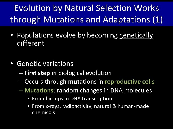 Evolution by Natural Selection Works through Mutations and Adaptations (1) • Populations evolve by