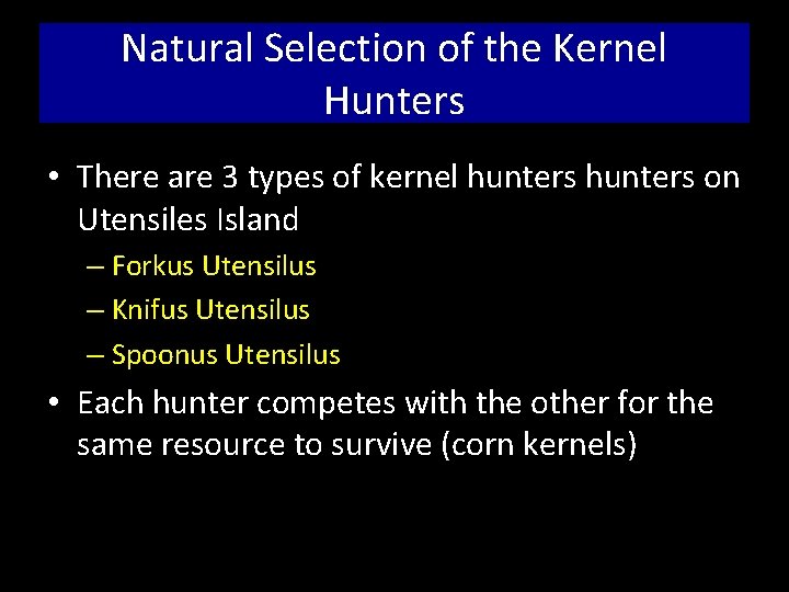 Natural Selection of the Kernel Hunters • There are 3 types of kernel hunters