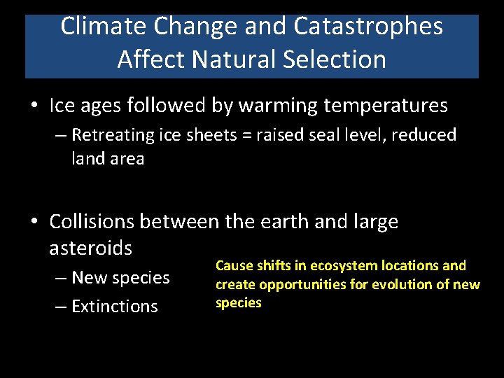 Climate Change and Catastrophes Affect Natural Selection • Ice ages followed by warming temperatures