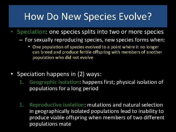 How Do New Species Evolve? • Speciation: one species splits into two or more