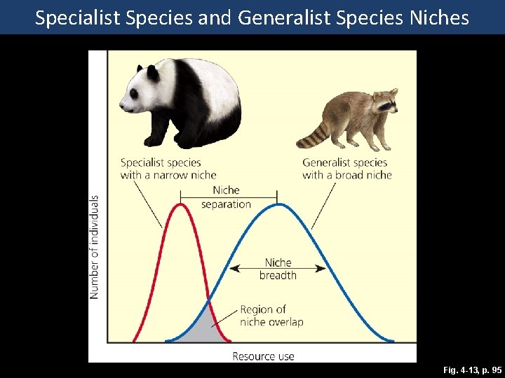 Specialist Species and Generalist Species Niches Fig. 4 -13, p. 95 