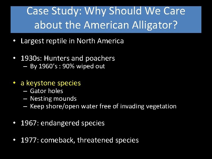Case Study: Why Should We Care about the American Alligator? • Largest reptile in