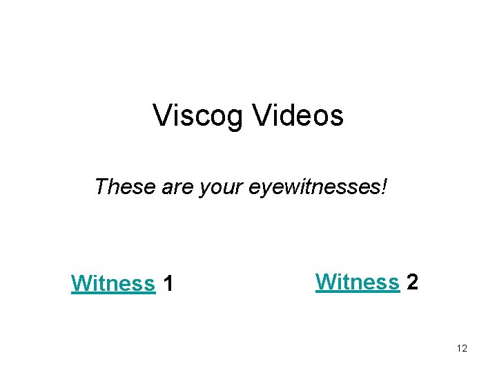 Viscog Videos These are your eyewitnesses! Witness 1 Witness 2 12 