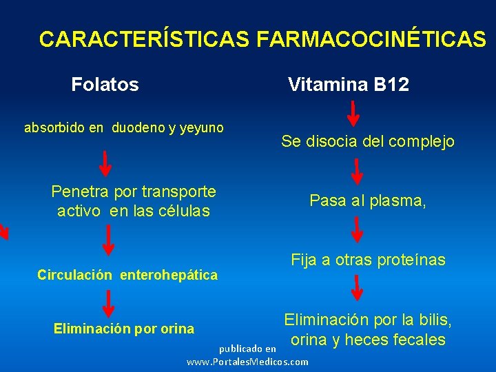 CARACTERÍSTICAS FARMACOCINÉTICAS Folatos Vitamina B 12 absorbido en duodeno y yeyuno Penetra por transporte