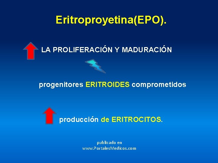 Eritroproyetina(EPO). LA PROLIFERACIÓN Y MADURACIÓN progenitores ERITROIDES comprometidos producción de ERITROCITOS. publicado en www.