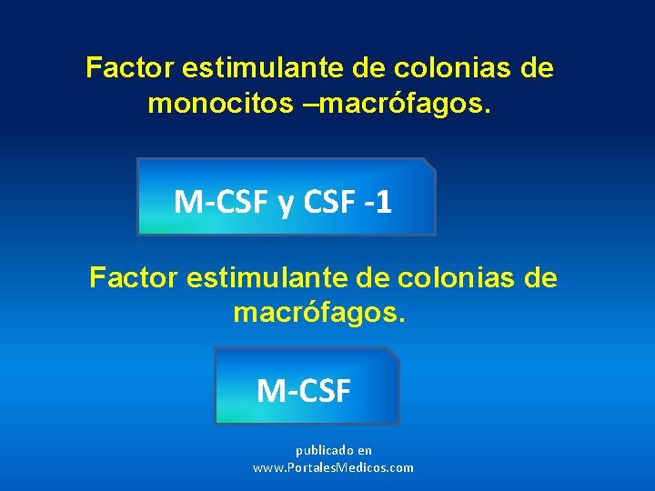 Factor estimulante de colonias de monocitos –macrófagos. M-CSF y CSF -1 Factor estimulante de