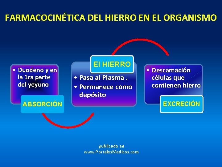 FARMACOCINÉTICA DEL HIERRO EN EL ORGANISMO • Duodeno y en la 1 ra parte