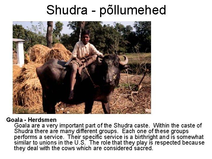 Shudra - põllumehed Goala - Herdsmen Goala are a very important part of the