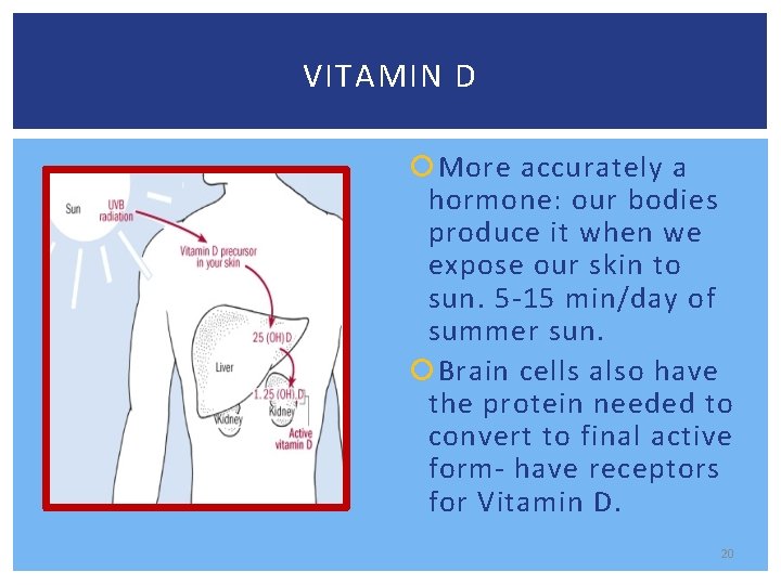 VITAMIN D More accurately a hormone: our bodies produce it when we expose our
