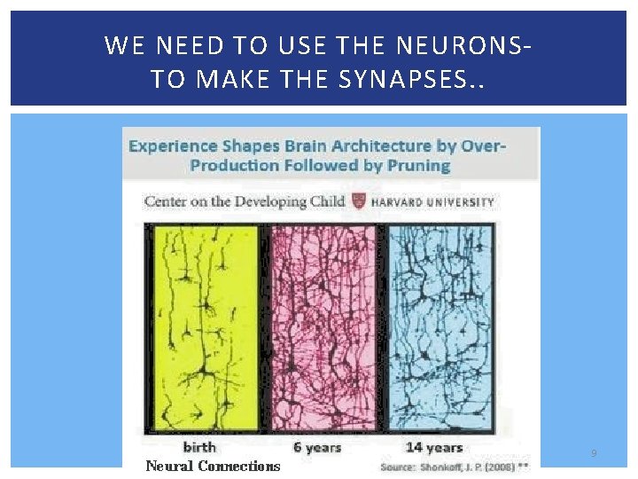WE NEED TO USE THE NEURONS- TO MAKE THE SYNAPSES. . 9 