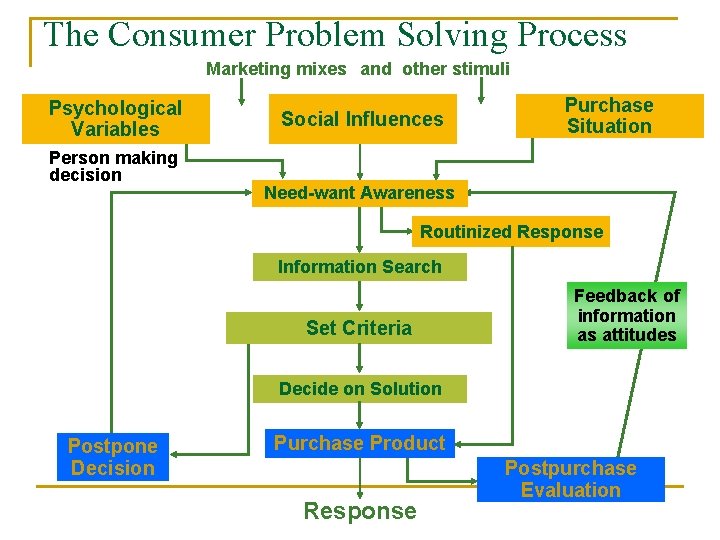 The Consumer Problem Solving Process Marketing mixes and other stimuli Psychological Variables Person making