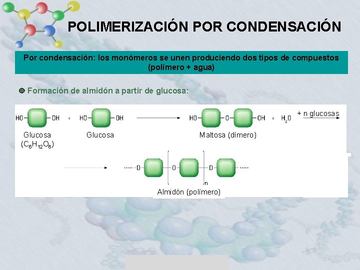 POLIMERIZACIÓN POR CONDENSACIÓN Por condensación: los monómeros se unen produciendo dos tipos de compuestos