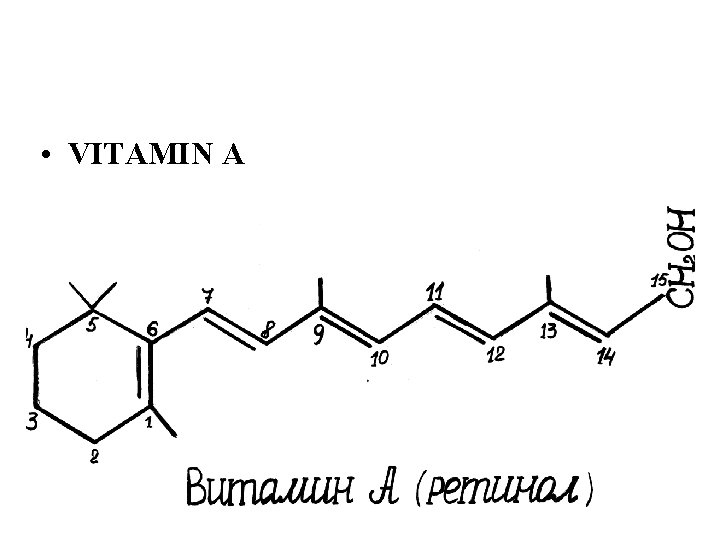  • VITAMIN A 