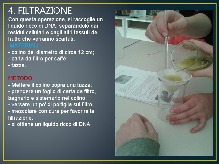 4. FILTRAZIONE Con questa operazione, si raccoglie un liquido ricco di DNA, separandolo dai