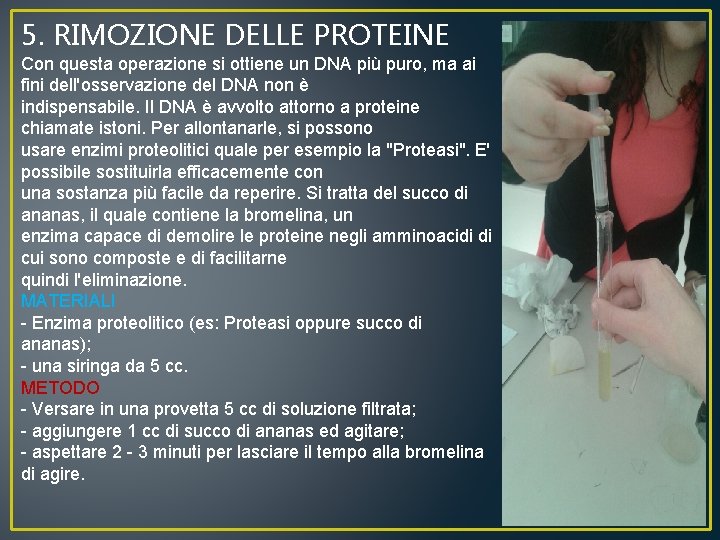 5. RIMOZIONE DELLE PROTEINE Con questa operazione si ottiene un DNA più puro, ma