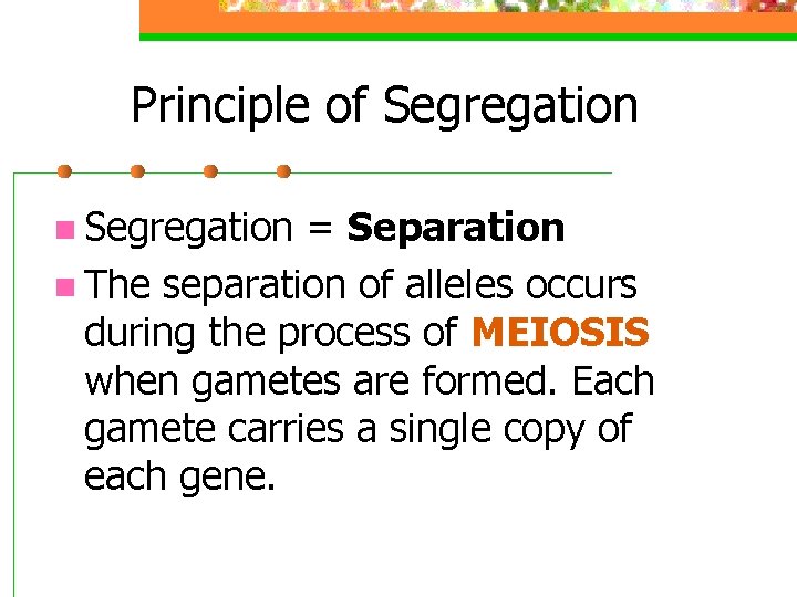 Principle of Segregation n Segregation = Separation n The separation of alleles occurs during