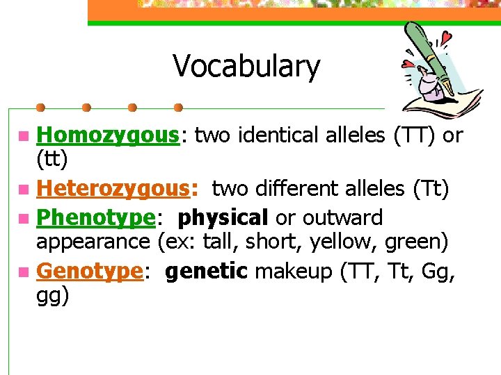 Vocabulary Homozygous: two identical alleles (TT) or (tt) n Heterozygous: two different alleles (Tt)