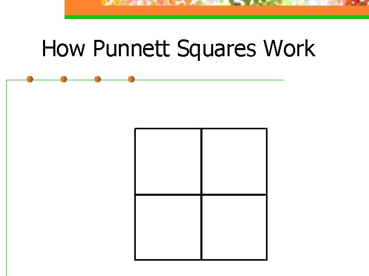 How Punnett Squares Work 