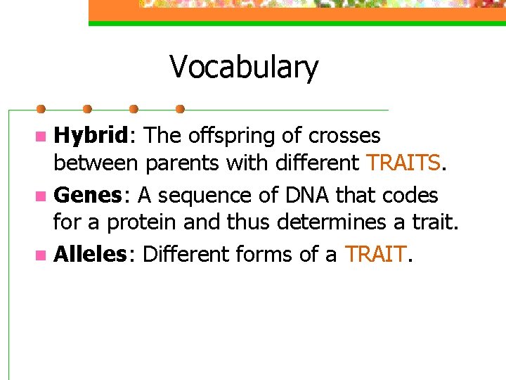 Vocabulary Hybrid: The offspring of crosses between parents with different TRAITS. n Genes: A