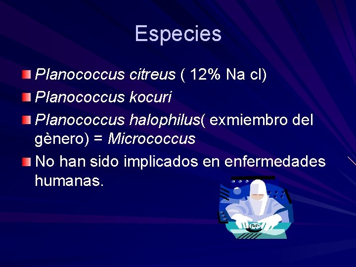 Especies Planococcus citreus ( 12% Na cl) Planococcus kocuri Planococcus halophilus( exmiembro del gènero)