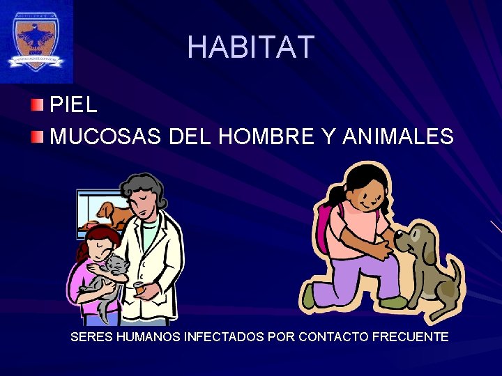 HABITAT PIEL MUCOSAS DEL HOMBRE Y ANIMALES SERES HUMANOS INFECTADOS POR CONTACTO FRECUENTE 