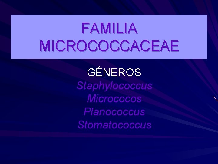 FAMILIA MICROCOCCACEAE GÉNEROS Staphylococcus Micrococos Planococcus Stomatococcus 