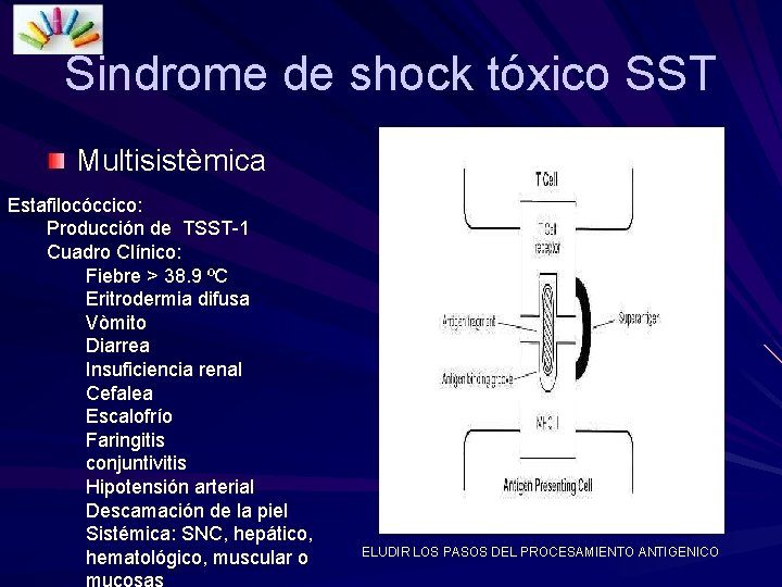 Sindrome de shock tóxico SST Multisistèmica Estafilocóccico: Producción de TSST-1 Cuadro Clínico: Fiebre >