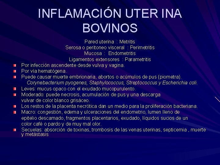 INFLAMACIÓN UTER INA BOVINOS Pared uterina : Metritis Serosa o peritoneo visceral : Perimetritis