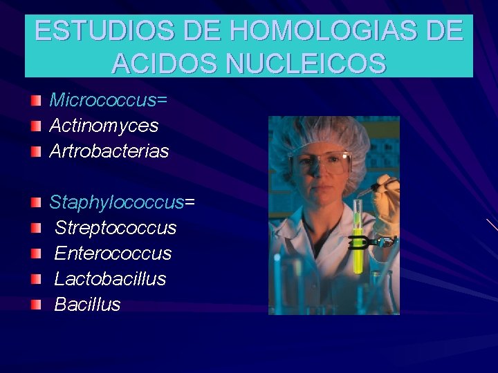 ESTUDIOS DE HOMOLOGIAS DE ACIDOS NUCLEICOS Micrococcus= Actinomyces Artrobacterias Staphylococcus= Streptococcus Enterococcus Lactobacillus Bacillus