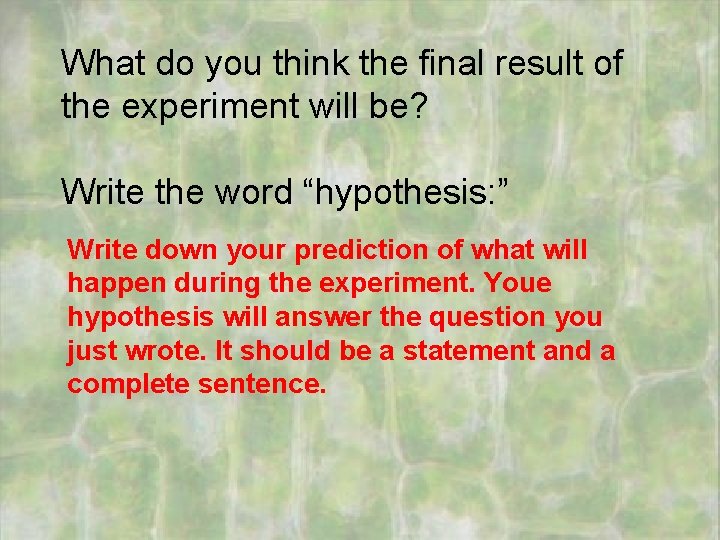 What do you think the final result of the experiment will be? Write the