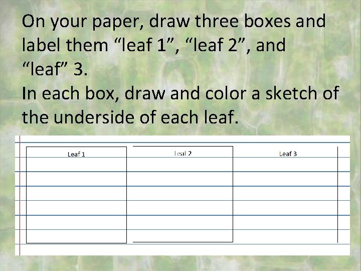 On your paper, draw three boxes and label them “leaf 1”, “leaf 2”, and
