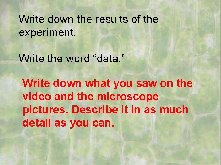 Write down the results of the experiment. Write the word “data: ” Write down