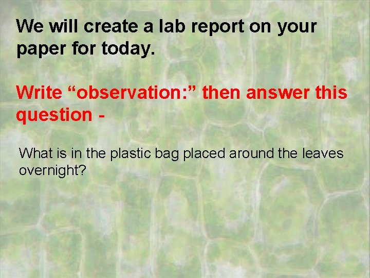 We will create a lab report on your paper for today. Write “observation: ”