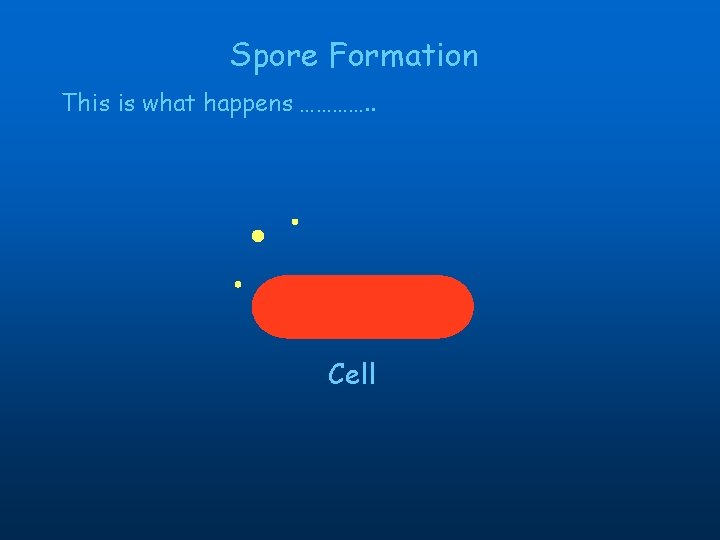 Spore Formation This is what happens …………. . Cell 