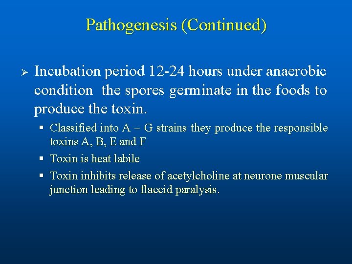 Pathogenesis (Continued) Ø Incubation period 12 -24 hours under anaerobic condition the spores germinate