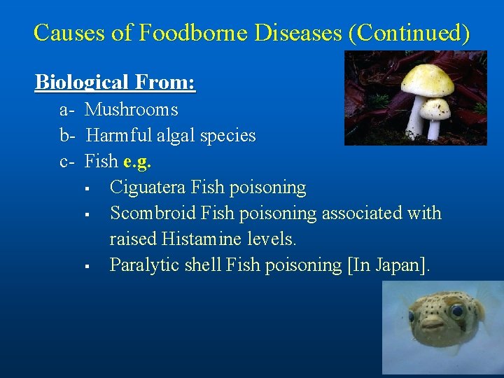 Causes of Foodborne Diseases (Continued) Biological From: abc- Mushrooms Harmful algal species Fish e.